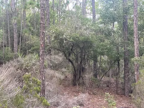 124 New York Avenue Interlachen FL 32148