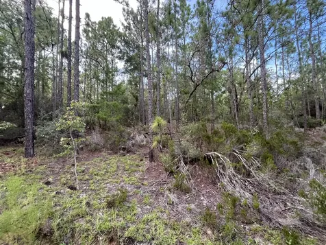 124 New York Avenue Interlachen FL 32148