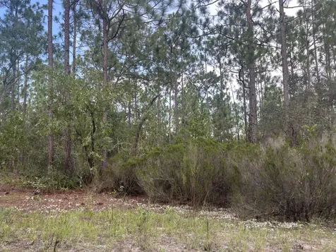 124 New York Avenue Interlachen FL 32148