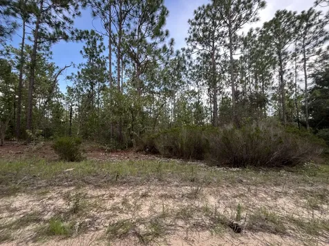 124 New York Avenue Interlachen FL 32148