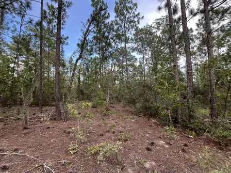 124 New York Avenue Interlachen FL 32148