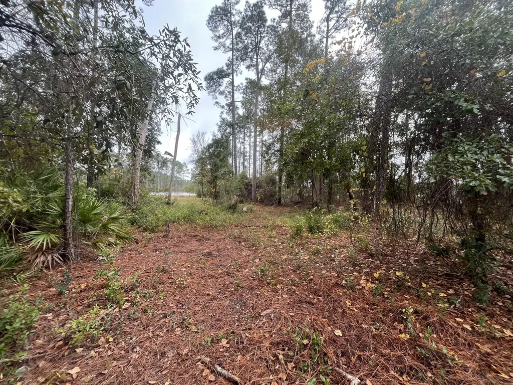 Tbd Susan Street Interlachen FL 32148