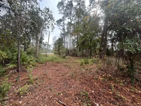 Tbd Susan Street Interlachen FL 32148