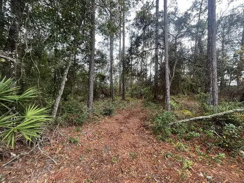 Tbd Susan Street Interlachen FL 32148