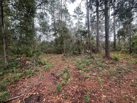 Tbd Susan Street Interlachen FL 32148