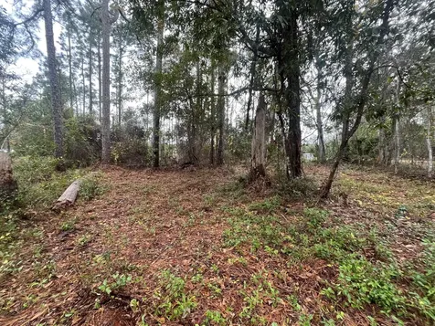 Tbd Susan Street Interlachen FL 32148