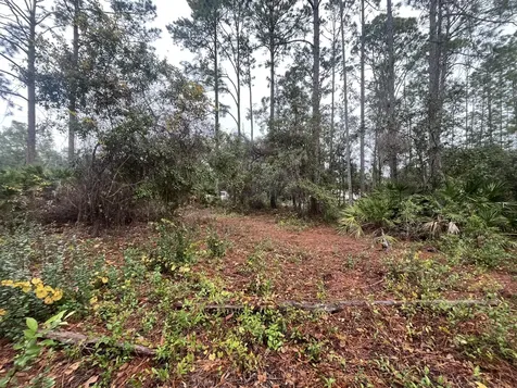 Tbd Susan Street Interlachen FL 32148