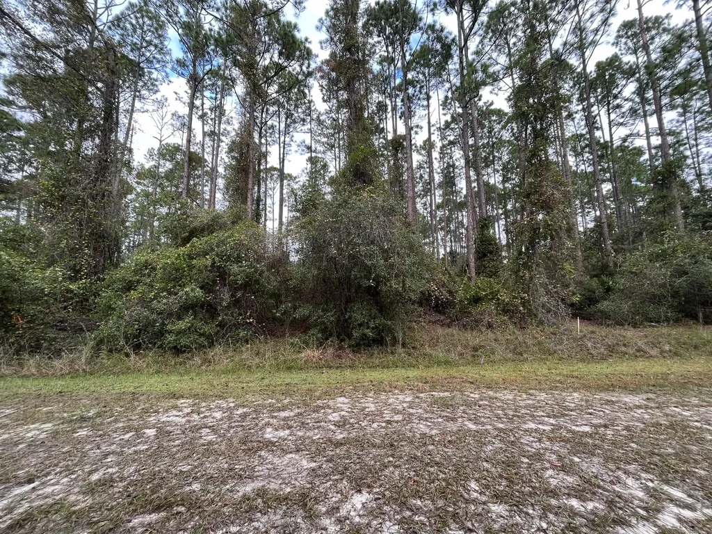 108 SE 5th Street Georgetown FL 32139