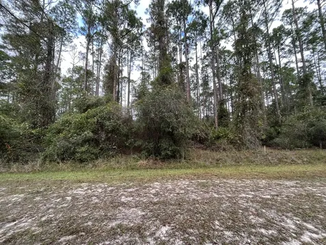 108 SE 5th Street Georgetown FL 32139