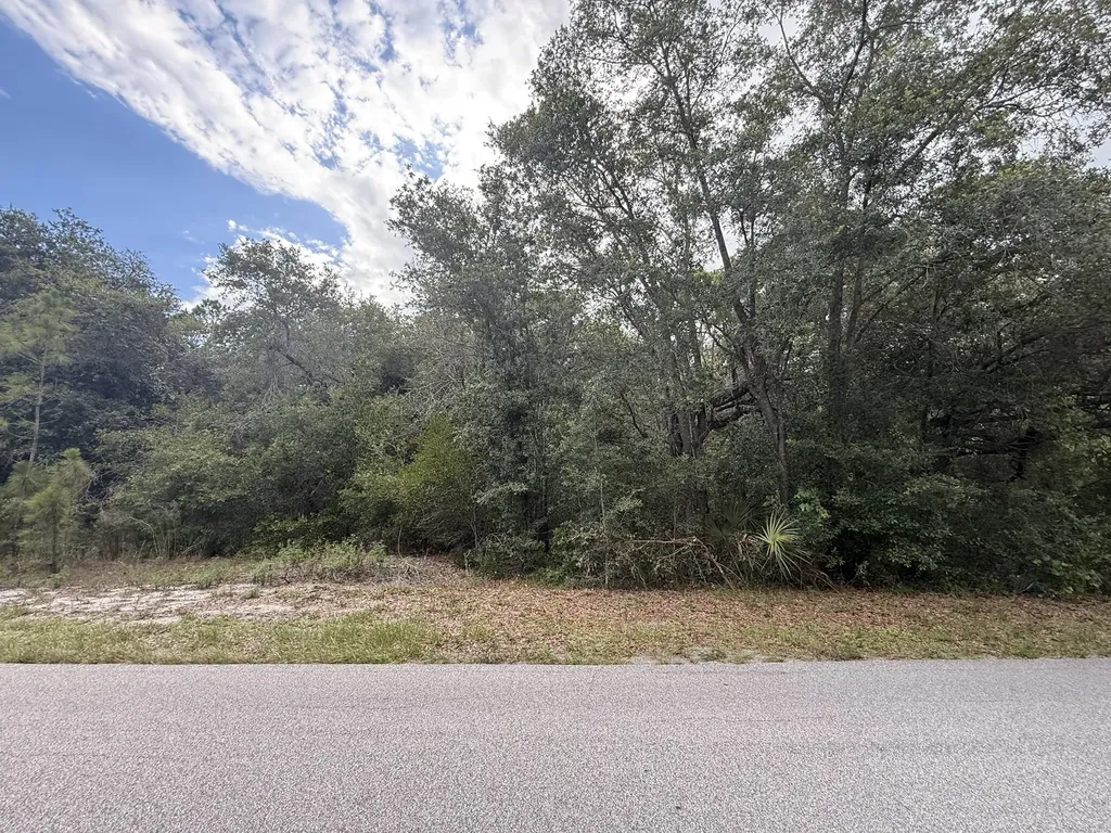 1012 Wildflower Street Lake Placid FL 33852