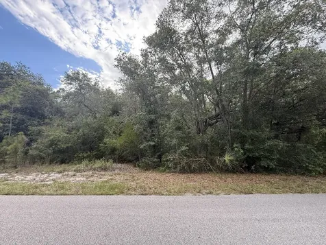 1012 Wildflower Street Lake Placid FL 33852