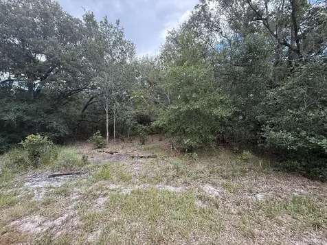 1012 Wildflower Street Lake Placid FL 33852