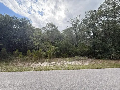 1012 Wildflower Street Lake Placid FL 33852