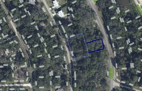 1012 Wildflower Street Lake Placid FL 33852