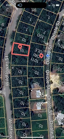 1012 Wildflower Street Lake Placid FL 33852