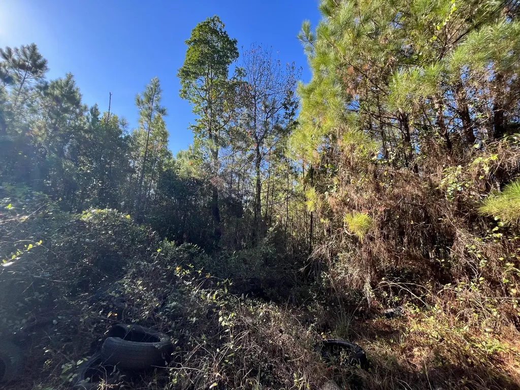 223 Mourning Dove Road Satsuma FL 32189