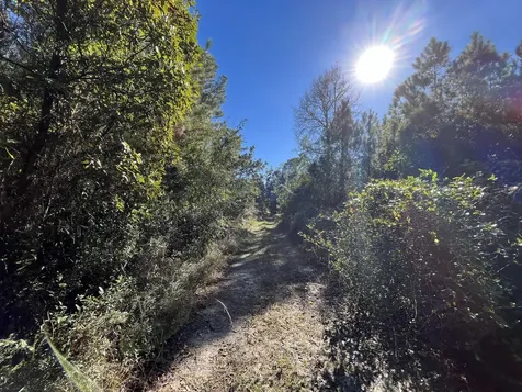 223 Mourning Dove Road Satsuma FL 32189