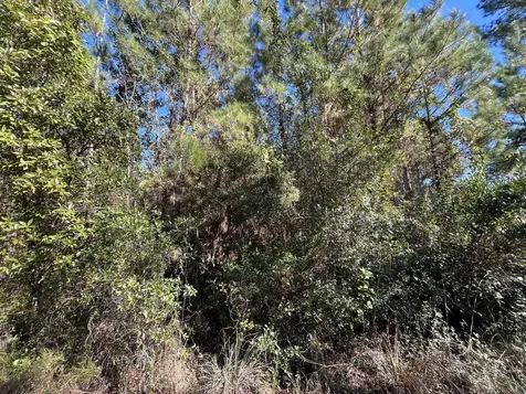 223 Mourning Dove Road Satsuma FL 32189