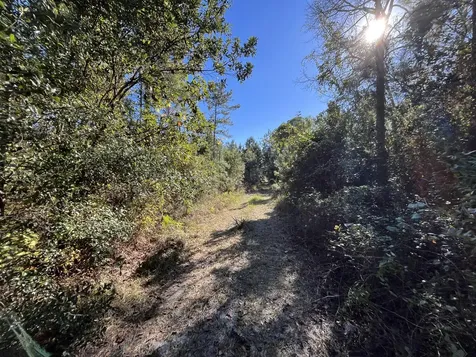 223 Mourning Dove Road Satsuma FL 32189