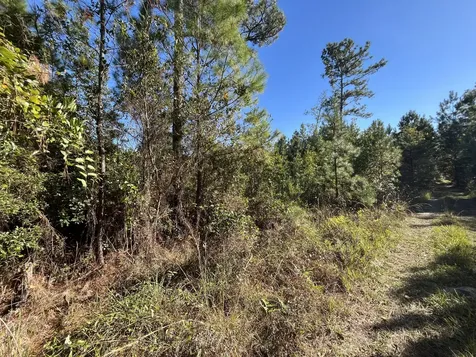 223 Mourning Dove Road Satsuma FL 32189