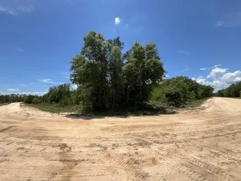 Tbd Magnolia Lane Marianna FL 32448