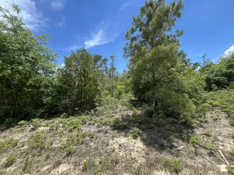 Tbd Magnolia Lane Marianna FL 32448