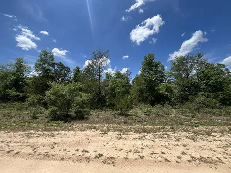 Tbd Magnolia Lane Marianna FL 32448