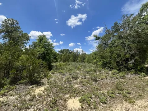 Tbd Magnolia Lane Marianna FL 32448