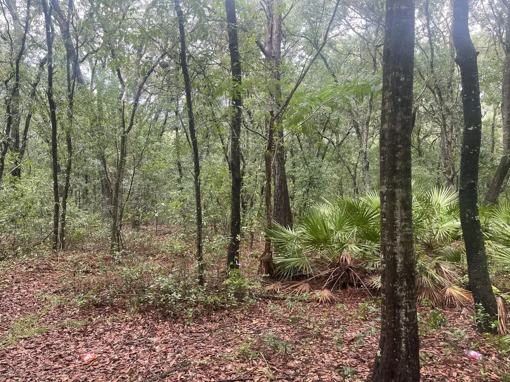 Tbd Delaware Avenue Interlachen FL 32148