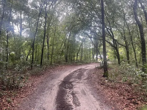 Tbd Delaware Avenue Interlachen FL 32148