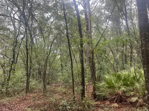 Tbd Delaware Avenue Interlachen FL 32148