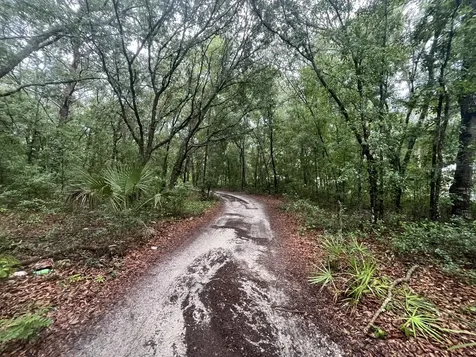 Tbd Delaware Avenue Interlachen FL 32148