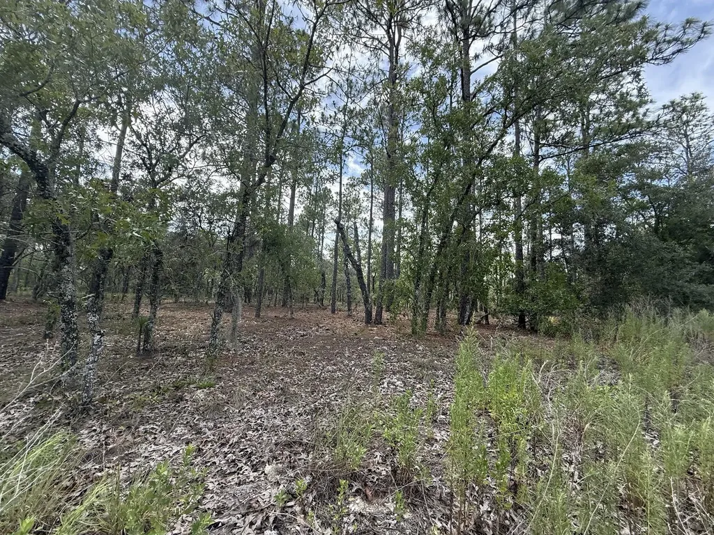Tbd NW Tree Top Road Dunnellon FL 34431