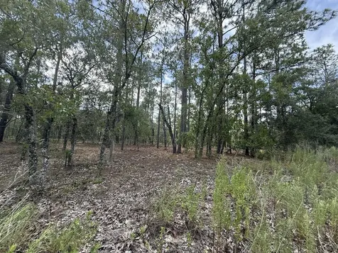 Tbd NW Tree Top Road Dunnellon FL 34431