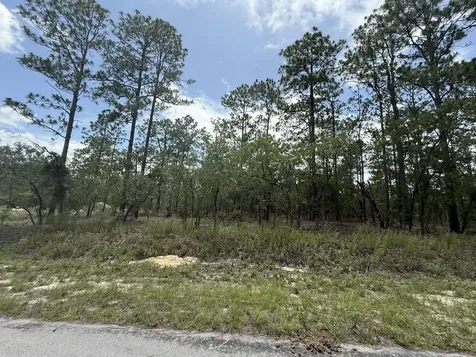 Tbd NW Tree Top Road Dunnellon FL 34431