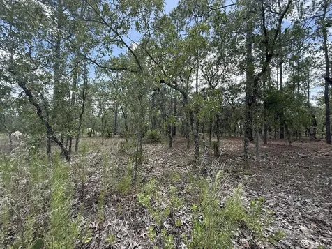 Tbd NW Tree Top Road Dunnellon FL 34431