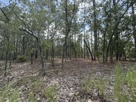 Tbd NW Tree Top Road Dunnellon FL 34431