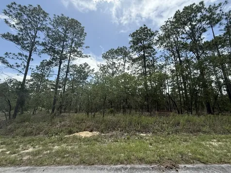 Tbd NW Tree Top Road Dunnellon FL 34431