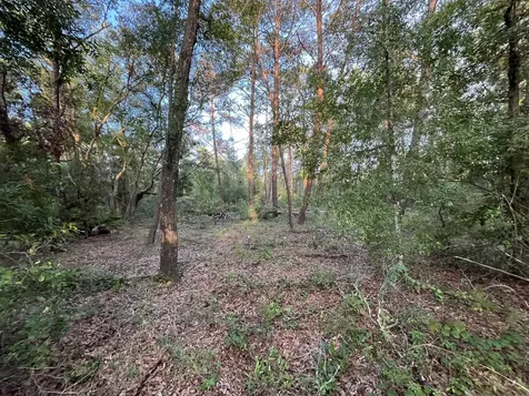 Tbd Twin Lakes Road Interlachen FL 32148