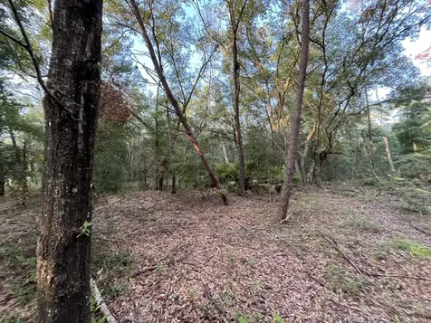 Tbd Twin Lakes Road Interlachen FL 32148