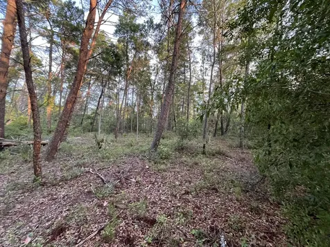 Tbd Twin Lakes Road Interlachen FL 32148