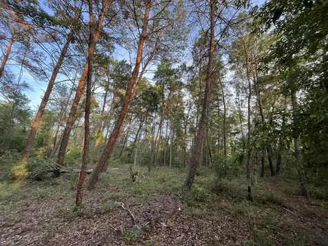 Tbd Twin Lakes Road Interlachen FL 32148