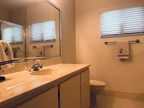 18619 Breezy Palm Way Boca Raton FL 33496