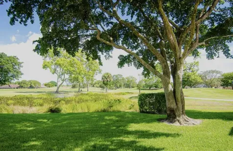 265 Old Meadow Way Palm Beach Gardens FL 33418
