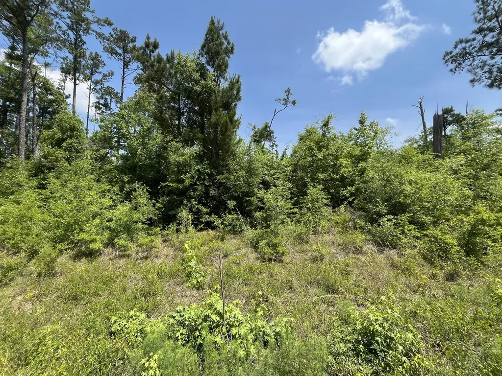 Tbd Grand Quiviera Circle Alford FL 32420