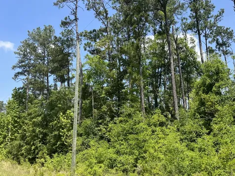 Tbd Grand Quiviera Circle Alford FL 32420