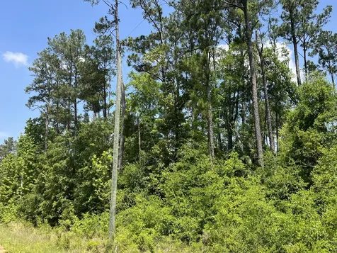 Tbd Grand Quiviera Circle Alford FL 32420