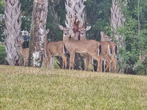 133 Island Estates Parkway Palm Coast FL 32137