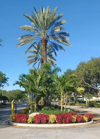 8130 Nadmar Avenue Boca Raton FL 33434
