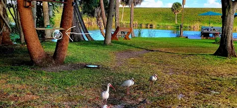 1025 Roberts Lane Moore Haven FL 33471